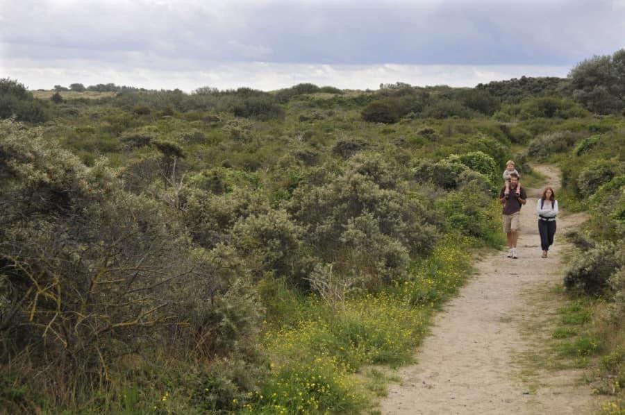 Vakantiehuisje De Panne Vlak Aan Plopsaland En De Zee Εξωτερικό φωτογραφία